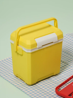 봄피크닉 아이스박스 5 L