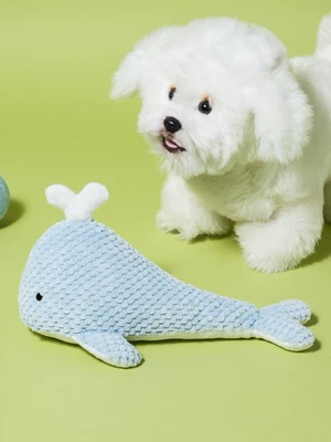 [펫] 돌고래 봉제 인형