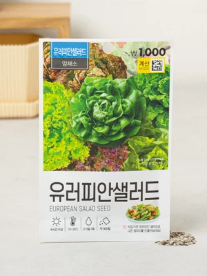 초록스타 유러피안 샐러드 씨앗