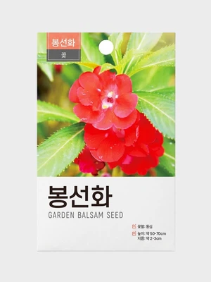 초록스타 봉선화 씨앗