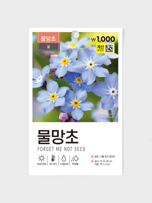 초록스타 물망초