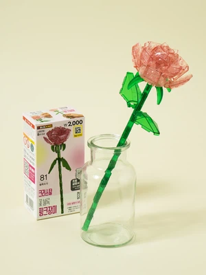 투명 꽃 블록 핑크 장미