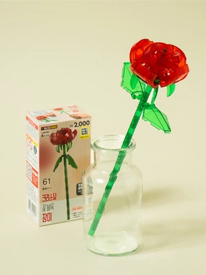 투명 꽃 블록 장미