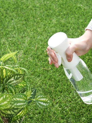 압축 분사 안개 분무기 500 ml