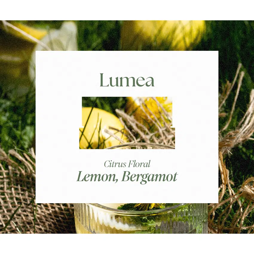 Daily Comma Bello de Perfume Balm Lumea 5.5 g