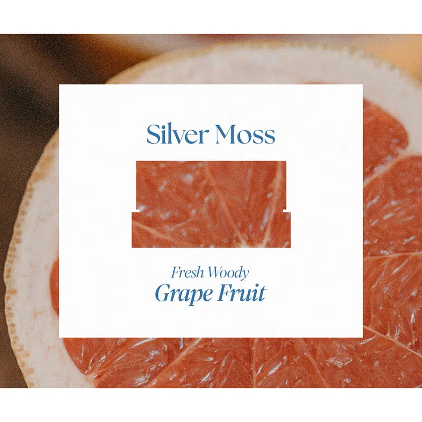 Daily Comma Bello de Perfume Balm - Silver Moss, 5.5g