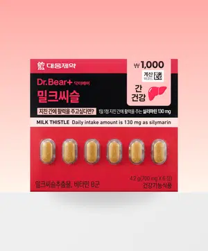 6일분