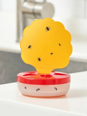 2in1 초파리트랩 세트
