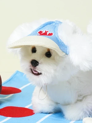[펫] 와여름 파스텔 메시 캡모자 가재