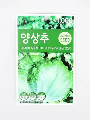 초록스타 양상추 씨앗