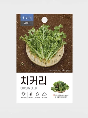 초록스타 치커리 씨앗