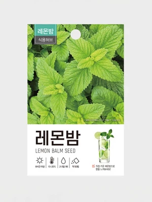 초록스타 레몬밤 씨앗