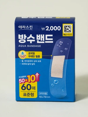 테라스킨 방수 밴드 표준형 60매입