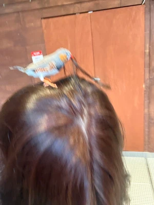 买家评价图片