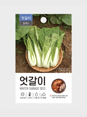 초록스타 엇갈이배추 씨앗