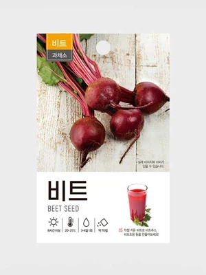 초록스타 비트 씨앗