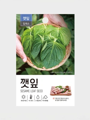 초록스타 깻잎 씨앗