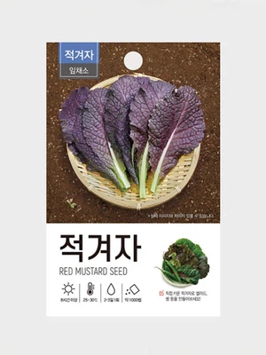 초록스타 적겨자 씨앗