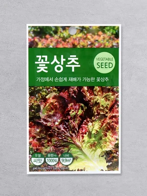 초록스타 꽃상추 씨앗