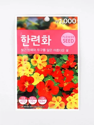 초록스타 한련화 씨앗