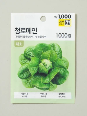 초록스타 청로메인 씨앗