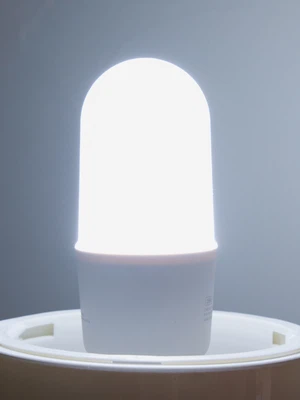 번개표 LED 스틱 램프 12 W 주광색